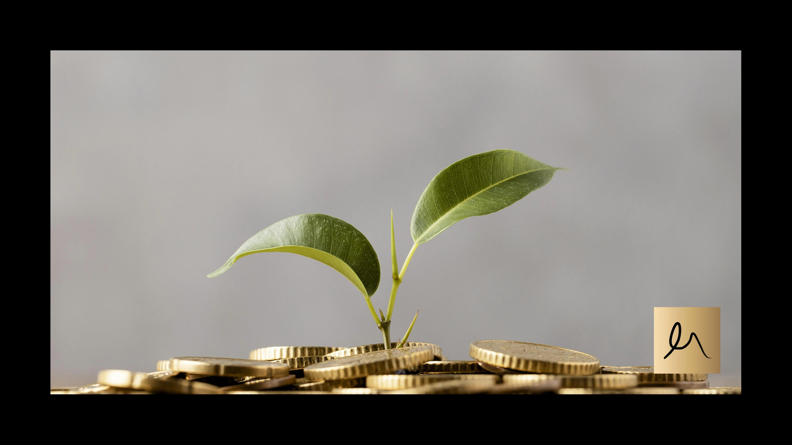 ESG Investing: What Is It and Will It Increase My Returns?