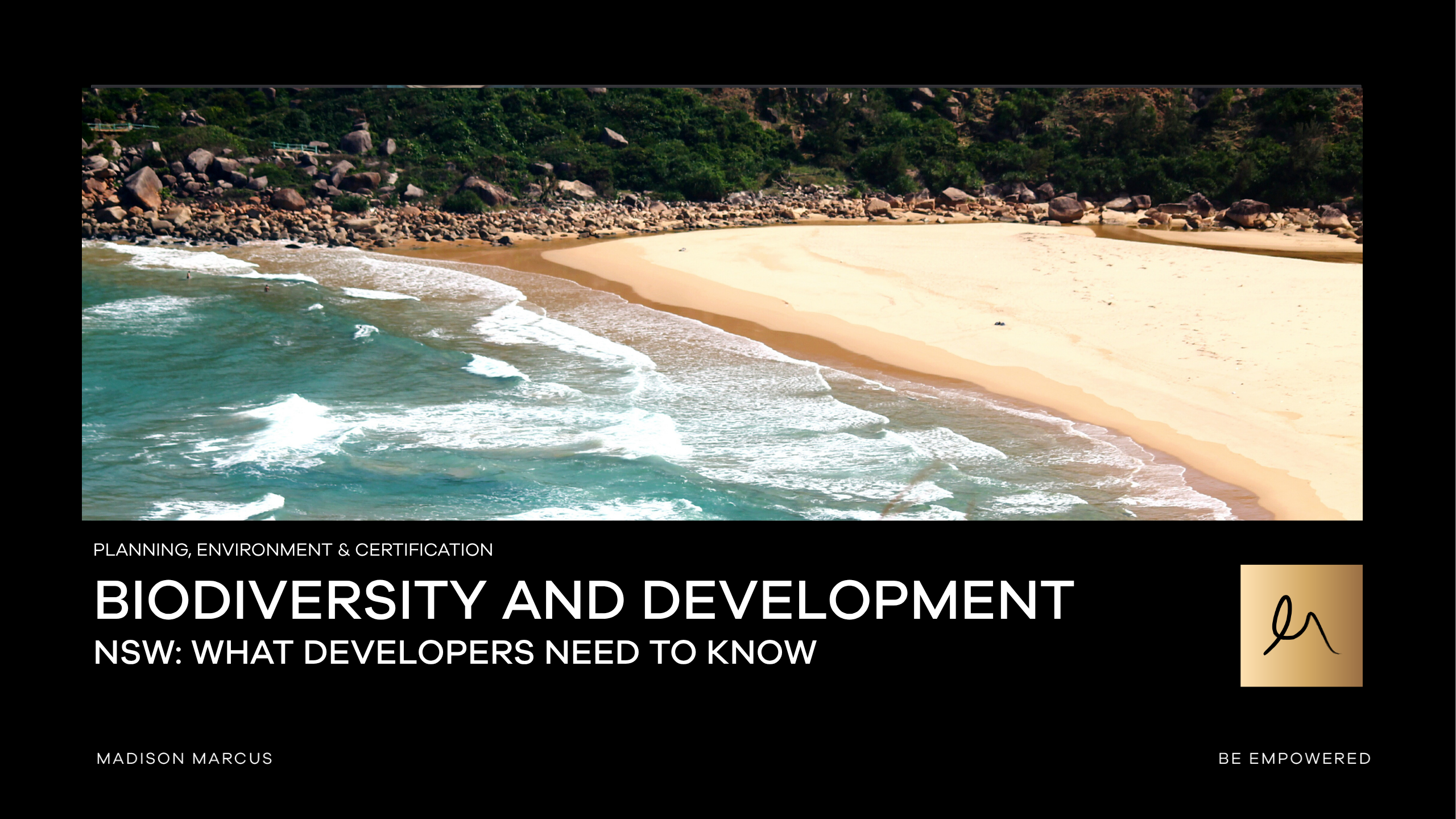 Copy of LinkedIn Post (Madison Marcus)